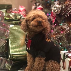 Meet your Posher, Aaiko